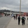 DSC02354 (2)